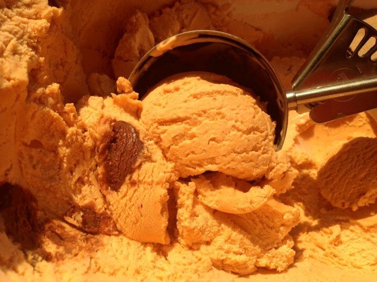 Pumpkin Dark Chocolate Sage Ice Cream