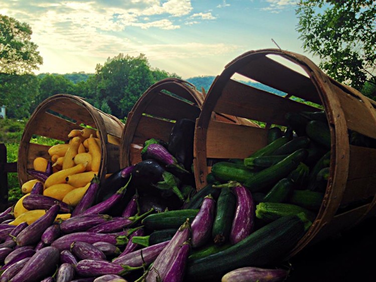 Farm Fresh
