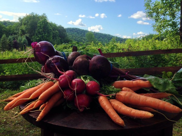 Fresh Pickings