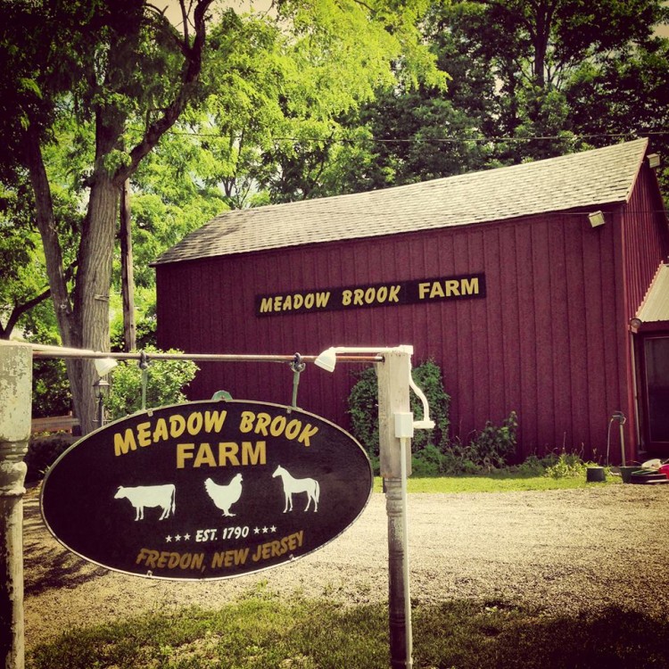 Meadow Brook Farm