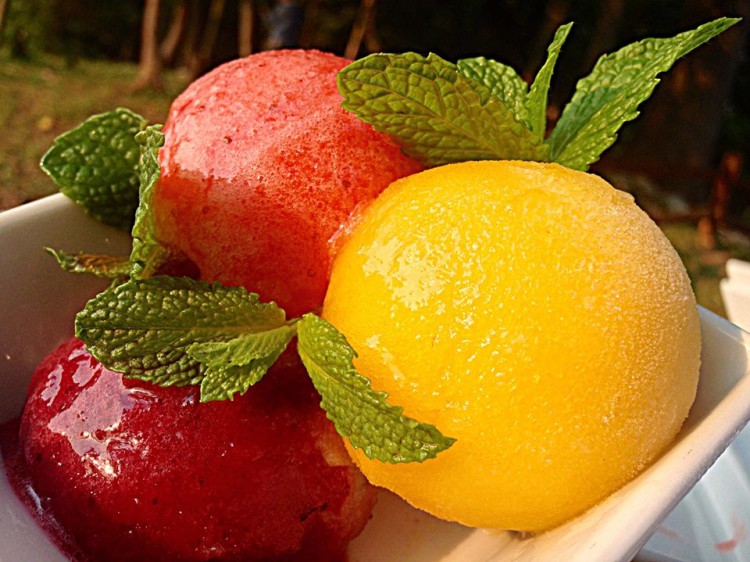 Sorbet Sampler