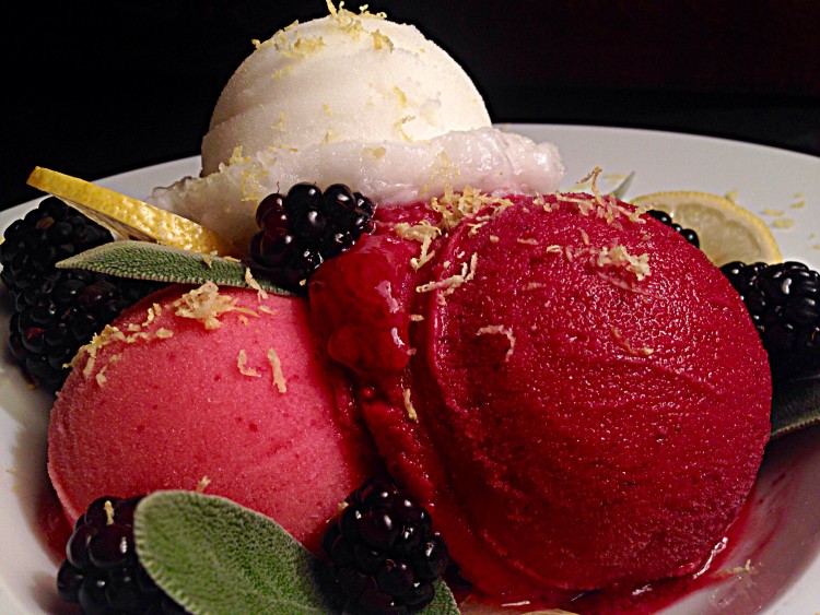 sorbet samplerr