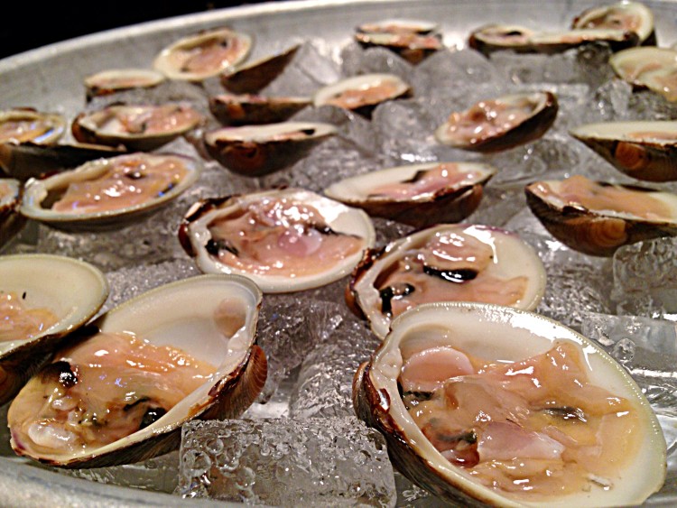 Sandy Hook Clams