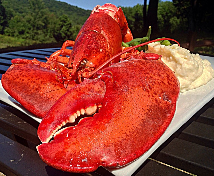 2 pound lobster