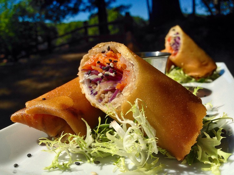 duck spring rolls